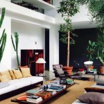 Brazilian Greenhouse 1