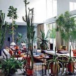 Brazilian Greenhouse 2
