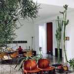 Brazilian Greenhouse 3