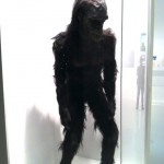 Kubrick 4